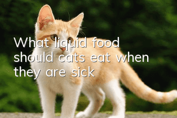 What liquid food should cats eat when they are sick?