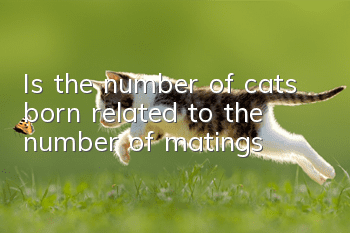 Is the number of cats born related to the number of matings?