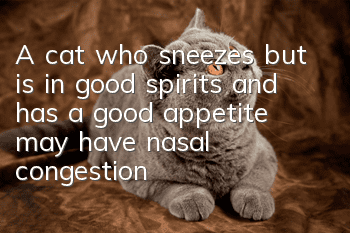 A cat who sneezes but is in good spirits and has a good appetite may have nasal congestion.