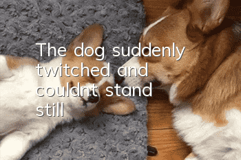 The dog suddenly twitched and couldn't stand still