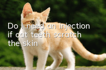 Do I need an injection if cat teeth scratch the skin?