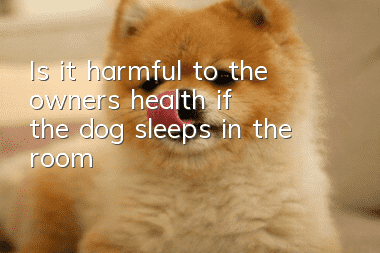 Is it harmful to the owner's health if the dog sleeps in the room?
