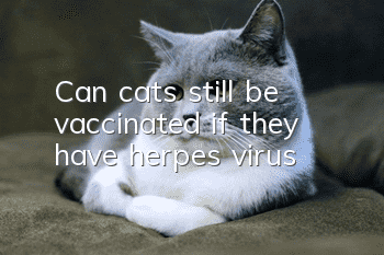 Can cats still be vaccinated if they have herpes virus?