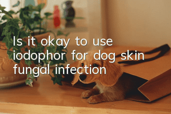 Is it okay to use iodophor for dog skin fungal infection?