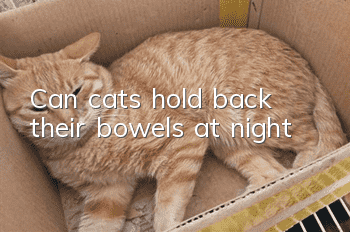 Can cats hold back their bowels at night?