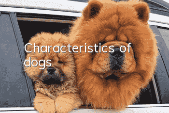Characteristics of dogs