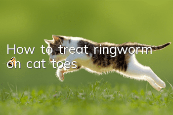 How to treat ringworm on cat toes?