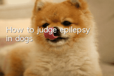 How to judge epilepsy in dogs