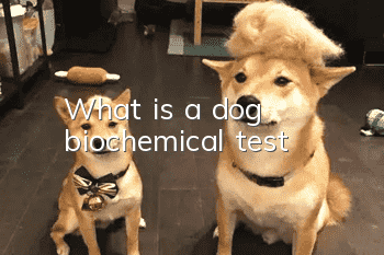 What is a dog biochemical test?