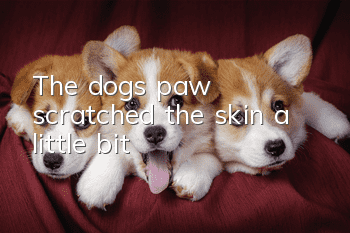 The dog's paw scratched the skin a little bit