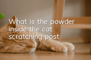 What is the powder inside the cat scratching post?