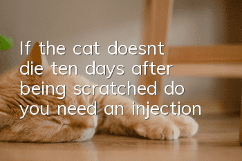 If the cat doesn’t die ten days after being scratched, do you need an injection?
