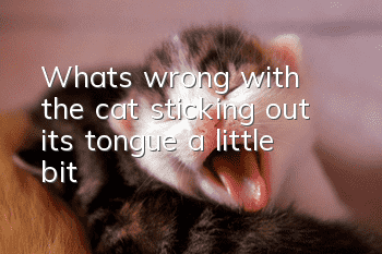 What's wrong with the cat sticking out its tongue a little bit?