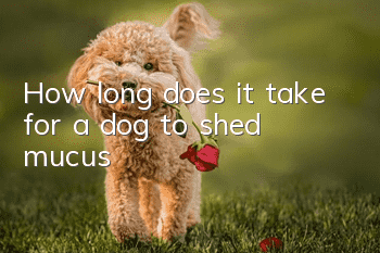 How long does it take for a dog to shed mucus?