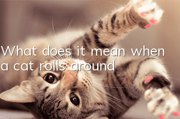What does it mean when a cat rolls around?