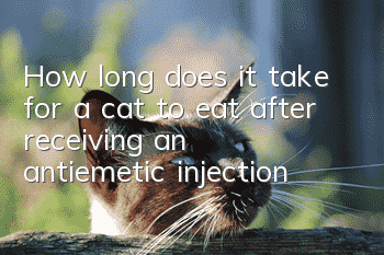How long does it take for a cat to eat after receiving an antiemetic injection?