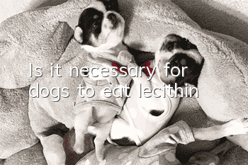 Is it necessary for dogs to eat lecithin?