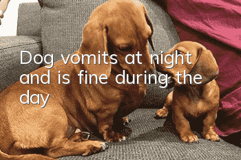 Dog vomits at night and is fine during the day