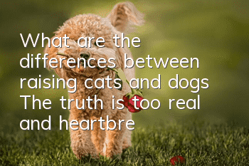What are the differences between raising cats and dogs? The truth is too real and heartbreaking!