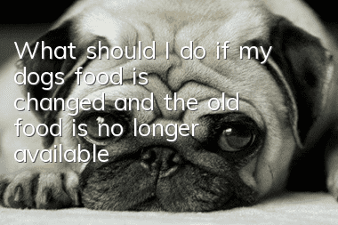 What should I do if my dog’s food is changed and the old food is no longer available?