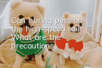 Can I bring pets on the high-speed rail? What are the precautions?