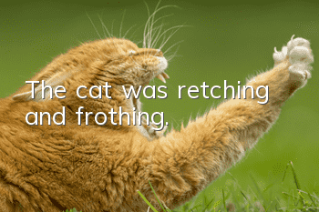 The cat was retching and frothing.