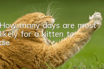 How many days are most likely for a kitten to die?
