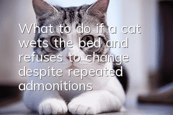 What to do if a cat wets the bed and refuses to change despite repeated admonitions