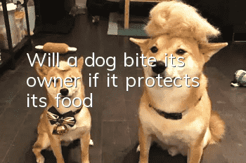 Will a dog bite its owner if it protects its food?
