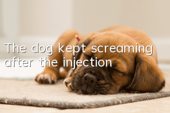 The dog kept screaming after the injection