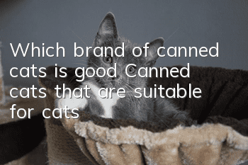 Which brand of canned cats is good? Canned cats that are suitable for cats!
