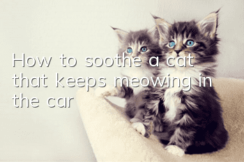 How to soothe a cat that keeps meowing in the car?