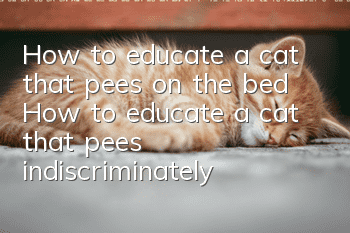 How to educate a cat that pees on the bed? How to educate a cat that pees indiscriminately?