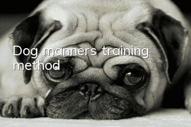 Dog manners training method