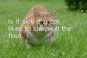 Is it sick if a cat likes to sleep on the floor?