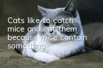 Cats like to catch mice and eat them because mice contain something