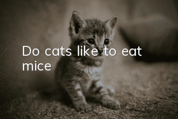 Do cats like to eat mice?