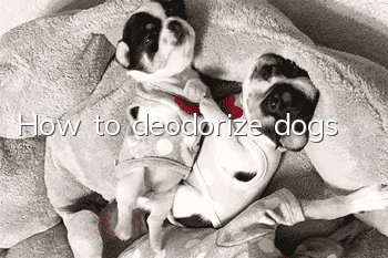 How to deodorize dogs