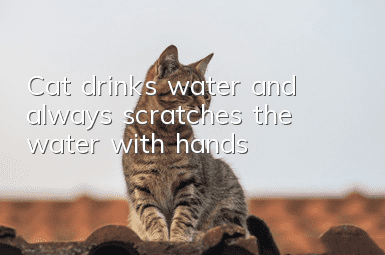 Cat drinks water and always scratches the water with hands