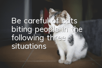 Be careful of cats biting people in the following three situations: