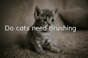 Do cats need brushing?
