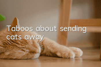 Taboos about sending cats away