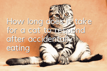 How long does it take for a cat to respond after accidentally eating?
