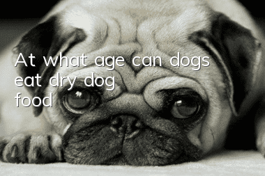 At what age can dogs eat dry dog ​​food?