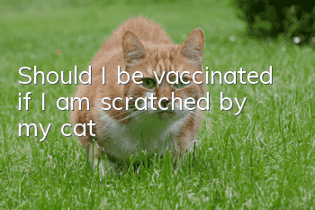 Should I be vaccinated if I am scratched by my cat?
