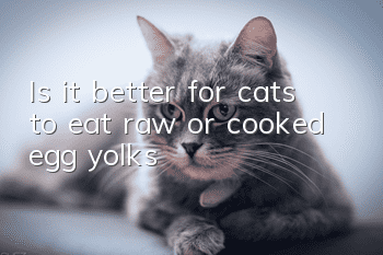 Is it better for cats to eat raw or cooked egg yolks?