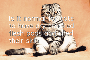 Is it normal for cats to have dry, cracked flesh pads and shed their skin?