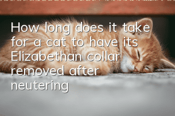 How long does it take for a cat to have its Elizabethan collar removed after neutering?