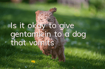 Is it okay to give gentamicin to a dog that vomits?