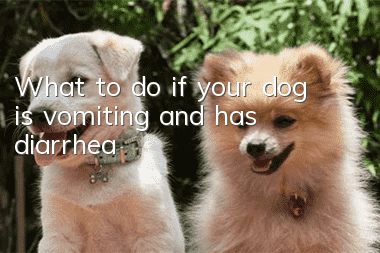 What to do if your dog is vomiting and has diarrhea